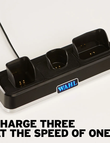 Professional Power Station Charging Stand [Date: Feb/March 2024]